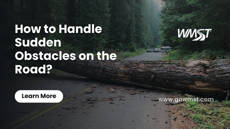 How to Handle Sudden Obstacles: A Beginner’s Guide to Quick Road Reactions
